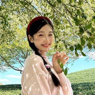 南方的愿望