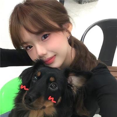 向日葵与幼犬的7天国语
